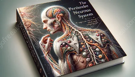 peripheral nervous system