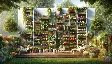 basic principles of vertical gardening