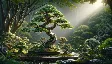 bonsai ቅጦች: slanting