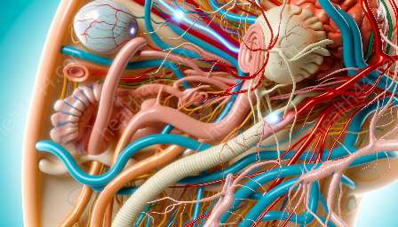 anatomie van het sensorische systeem